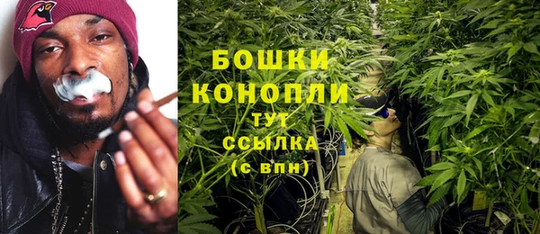 PSILOCYBIN Алексин
