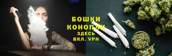 spice Алзамай