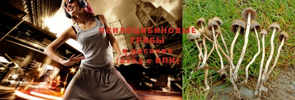 spice Алзамай