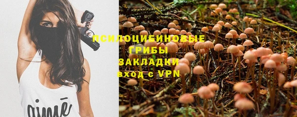 метамфетамин Алексеевка