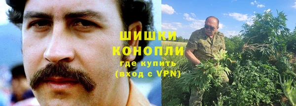 гидра Елабуга