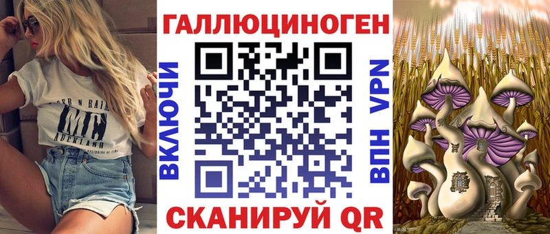 Галлюциногенные грибы Psilocybine cubensis Боровск